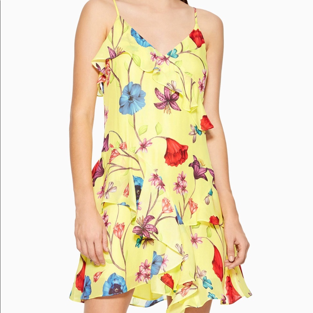 Parker holly dress